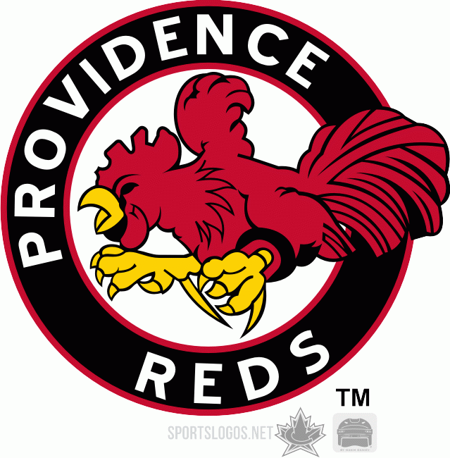 Providence Reds 1975 76-1976 77 Primary Logo iron on heat transfer